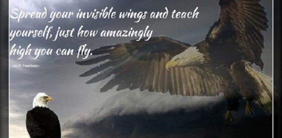 How Amazingly High do You Wish to Fly?